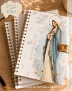 Ilustrações Imaculado Coração de Maria 2 - Imagem 8
