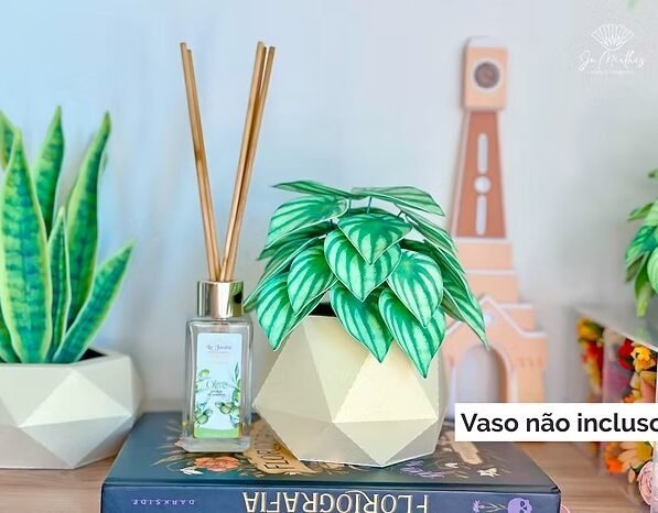 Kit de Folhas Realistas- Peperômia Melancia