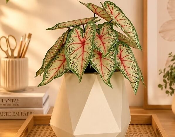 Kit de Folhagens Realistas- Caladium