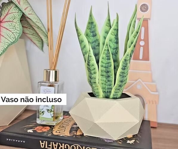 Kit de Folhas Realistas- Espada de São Jorge