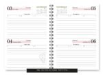 Miolo – Agenda Spring 2027 - Imagem 13