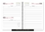 Miolo – Agenda Spring 2027 - Imagem 8