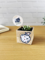 Box para suculenta - Coleção Um Proposito