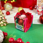 Coleção Natal Mágico (Espanhol) - Imagem 7