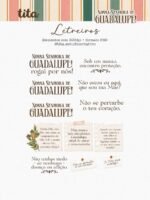 Santos - Nsra de Guadalupe - Ilustrações (Tita) - Imagem 5