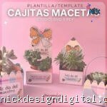 Caixinhas para vasos de plantas - Dia dos Professores (Espanhol)