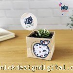 Box para suculenta - Coleção Um Proposito