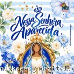 Coleção - Nossa Senhora Aparecida (Avião Sem Asa)