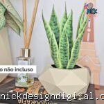 Kit de Folhas Realistas- Espada de São Jorge