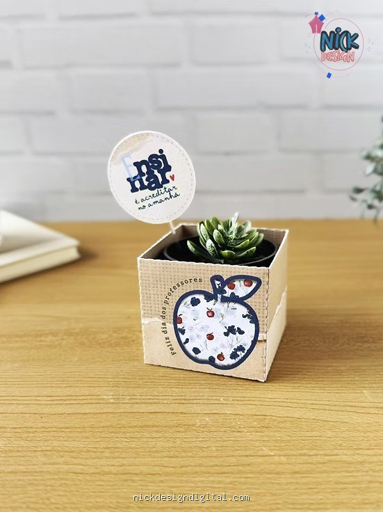 Box para suculenta - Coleção Um Proposito - Imagem 1
