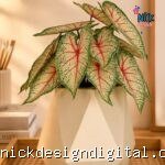 Kit de Folhagens Realistas- Caladium