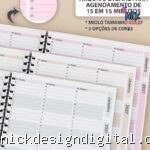 Kit Agendamento Semanal 2027 de 15 em 15 minutos em 3 Cores (Bicho Papel)
