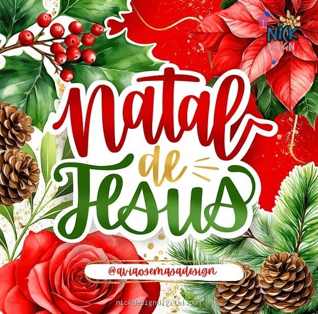 Coleção - Natal de Jesus (Avião Sem Asa)
